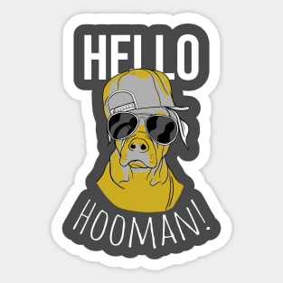 Hello Hooman Sticker